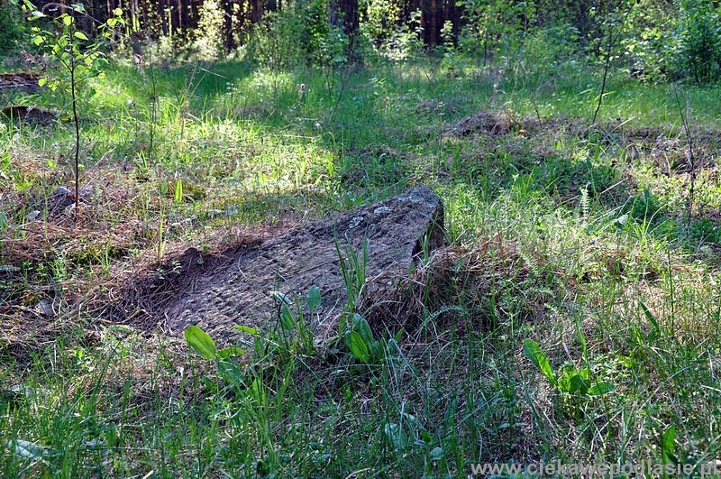 Narew, cmentarz żydowski, fot. G.Kossakowski, 2012 Narew, cmentarz żydowski, fot. G.Kossakowski, 2012
