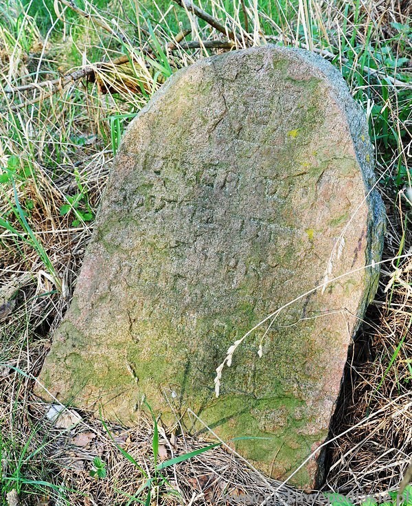Narew, cmentarz żydowski, fot. G.Kossakowski, 2012 Narew, cmentarz żydowski, fot. G.Kossakowski, 2012
