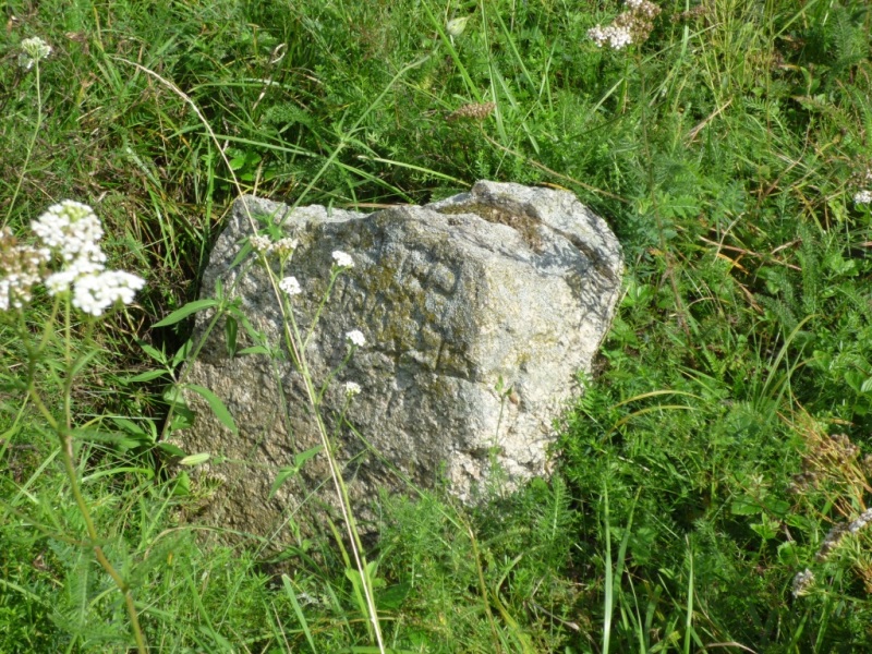 CMENTARZ ŻYDOWSKI, fot. D.STANKIEWICZ, 2010 TYKOCIN, CMENTARZ ŻYDOWSKI, fot. D.STANKIEWICZ, 2010