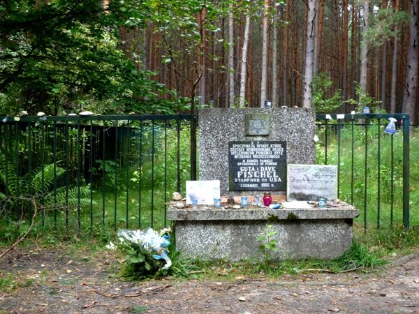 las łopuchowski, fot. D.Stankiewicz 2010 las łopuchowski, fot. D.Stankiewicz 2010